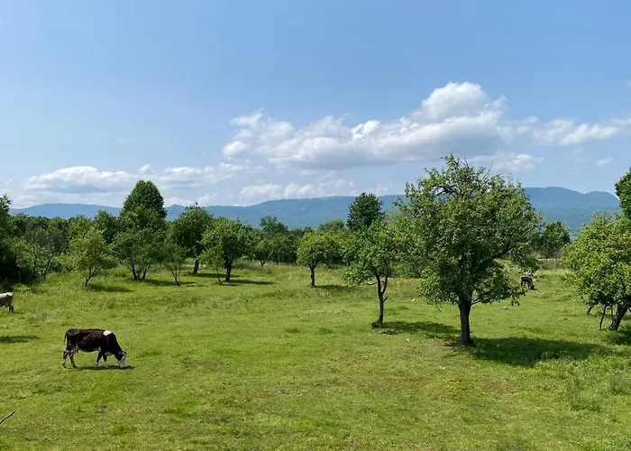 Casuta Din Gradina