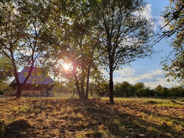 Casuta Din Gradina Homestay *
