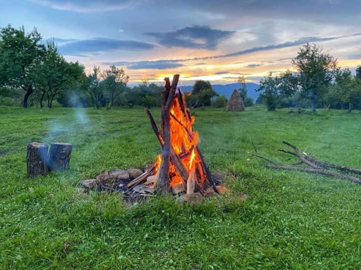Casuta Din Gradina Homestay *