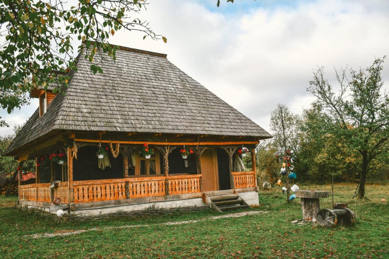 Homestay Casuta Din Gradina Breb