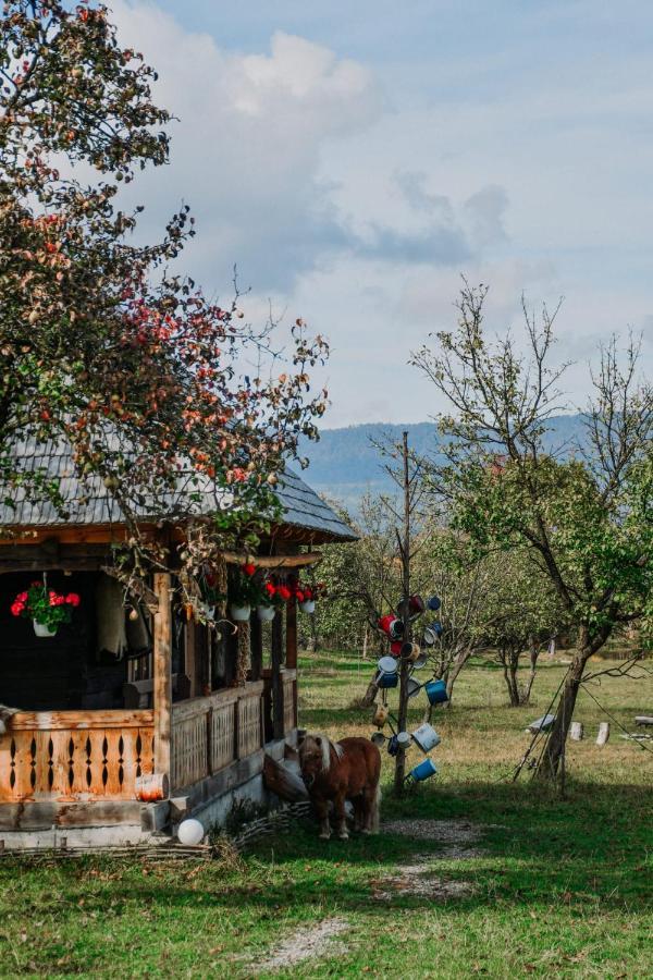Homestay Casuta Din Gradina *
