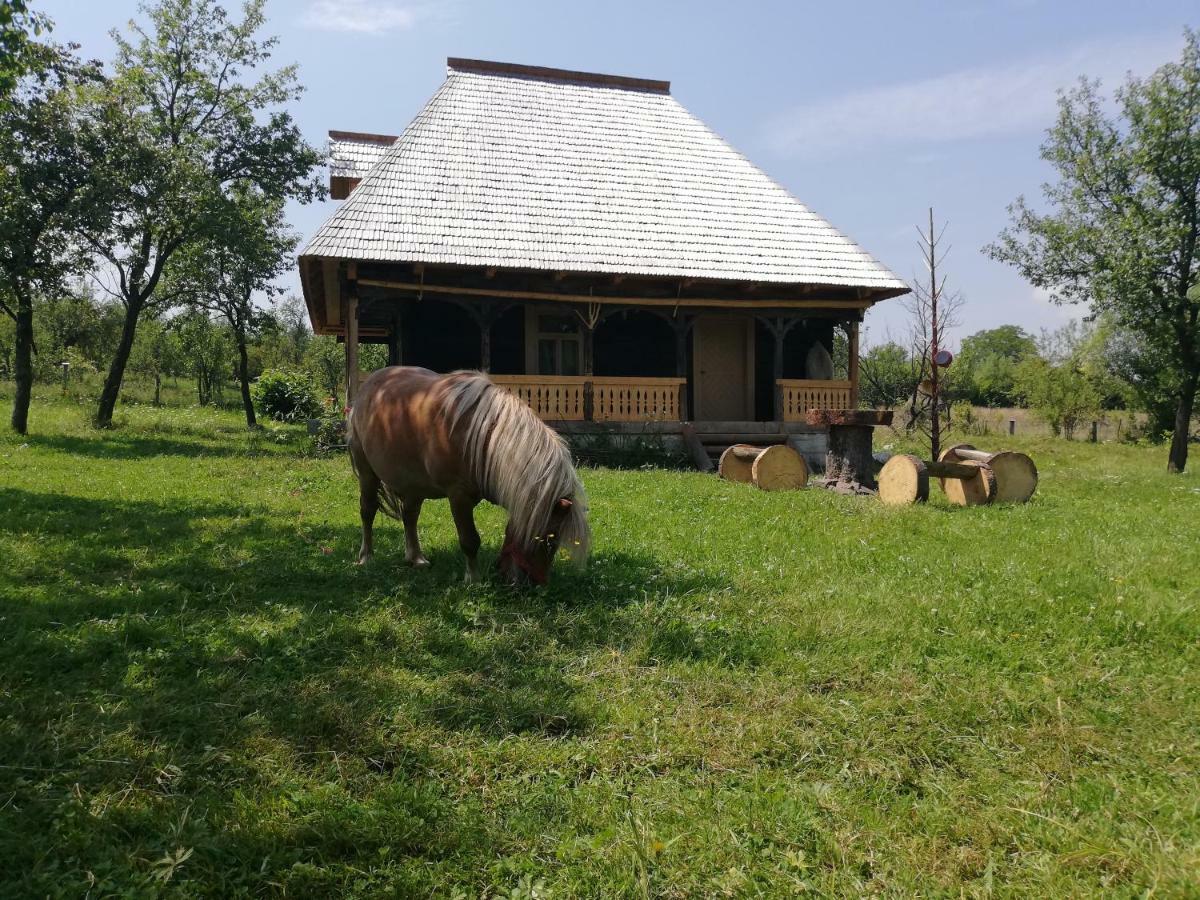 Casuta Din Gradina * Breb