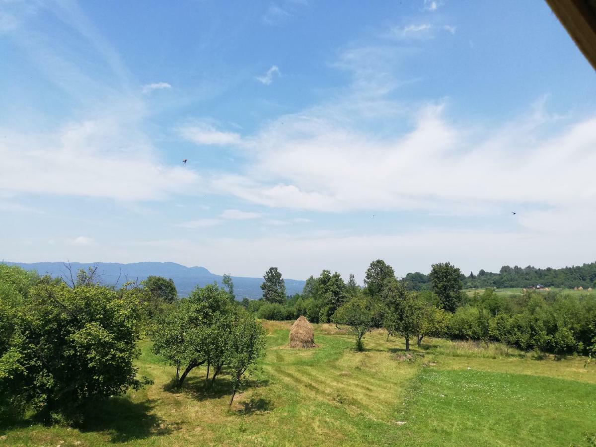 Homestay Casuta Din Gradina