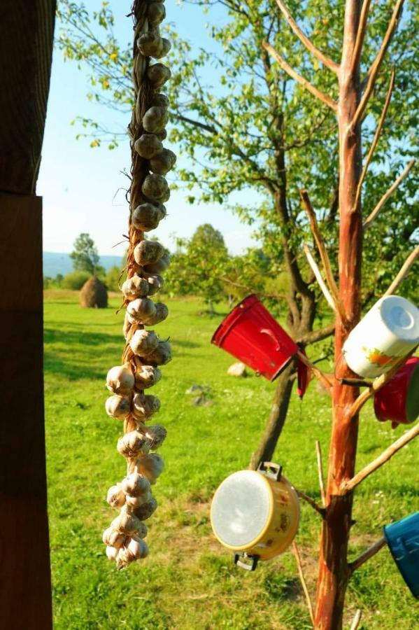 Casuta Din Gradina Homestay