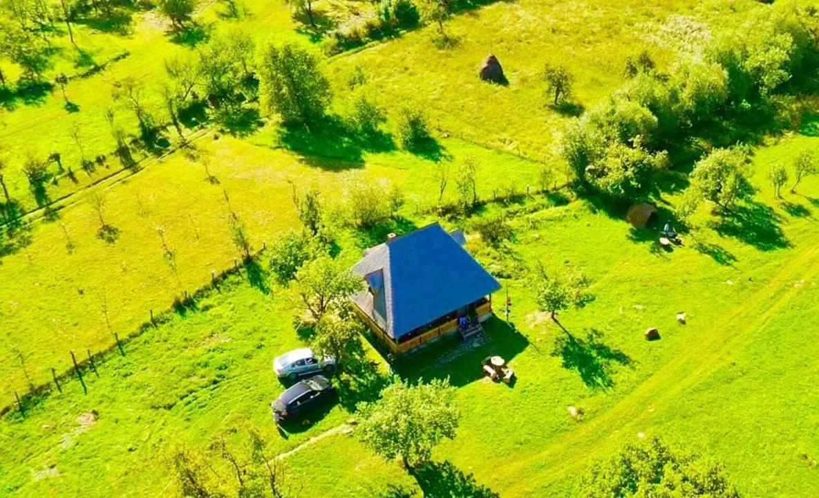 Homestay Casuta Din Gradina Breb